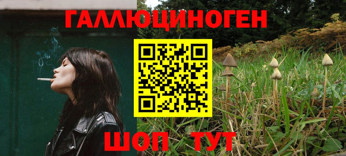 Галлюциногенные грибы Magic Shrooms  Псилоцибиновые грибы Cubensis  Киров  Вход с VPN 