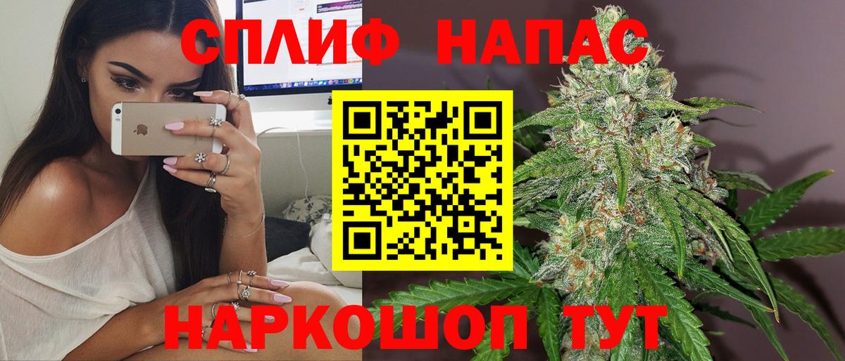 Канабис планчик Киров